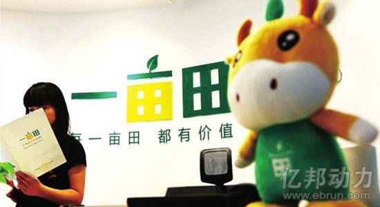 淘宝双11 1号店 兰亭集势 一亩田